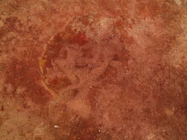 Photo Brown ankle boots