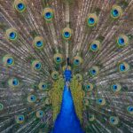 Ake obleky su teraz moderne?