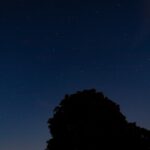 Ako vybrať boyfriend nohavice pre vašu postavu